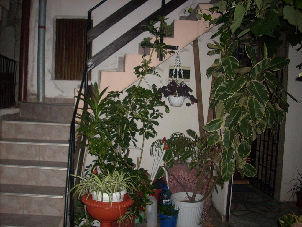 Guest House Pepina Sozopol Eksteriør billede